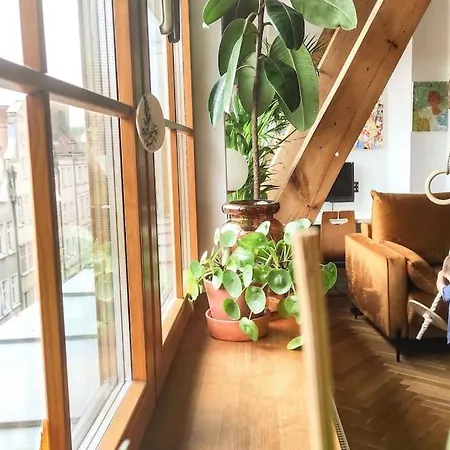 Lukarna Apartamento *